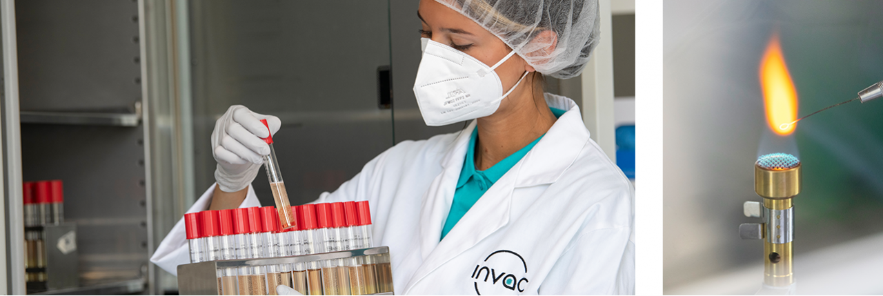 Care for veterinary and human health | INVAC International